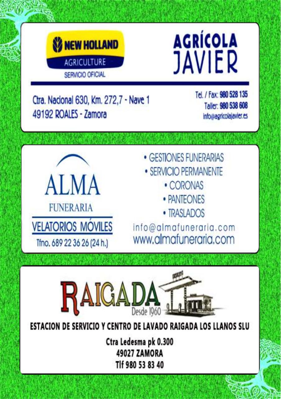 Vista previa del archivo PDF programa-de-fiestas-carrascal-2017.pdf