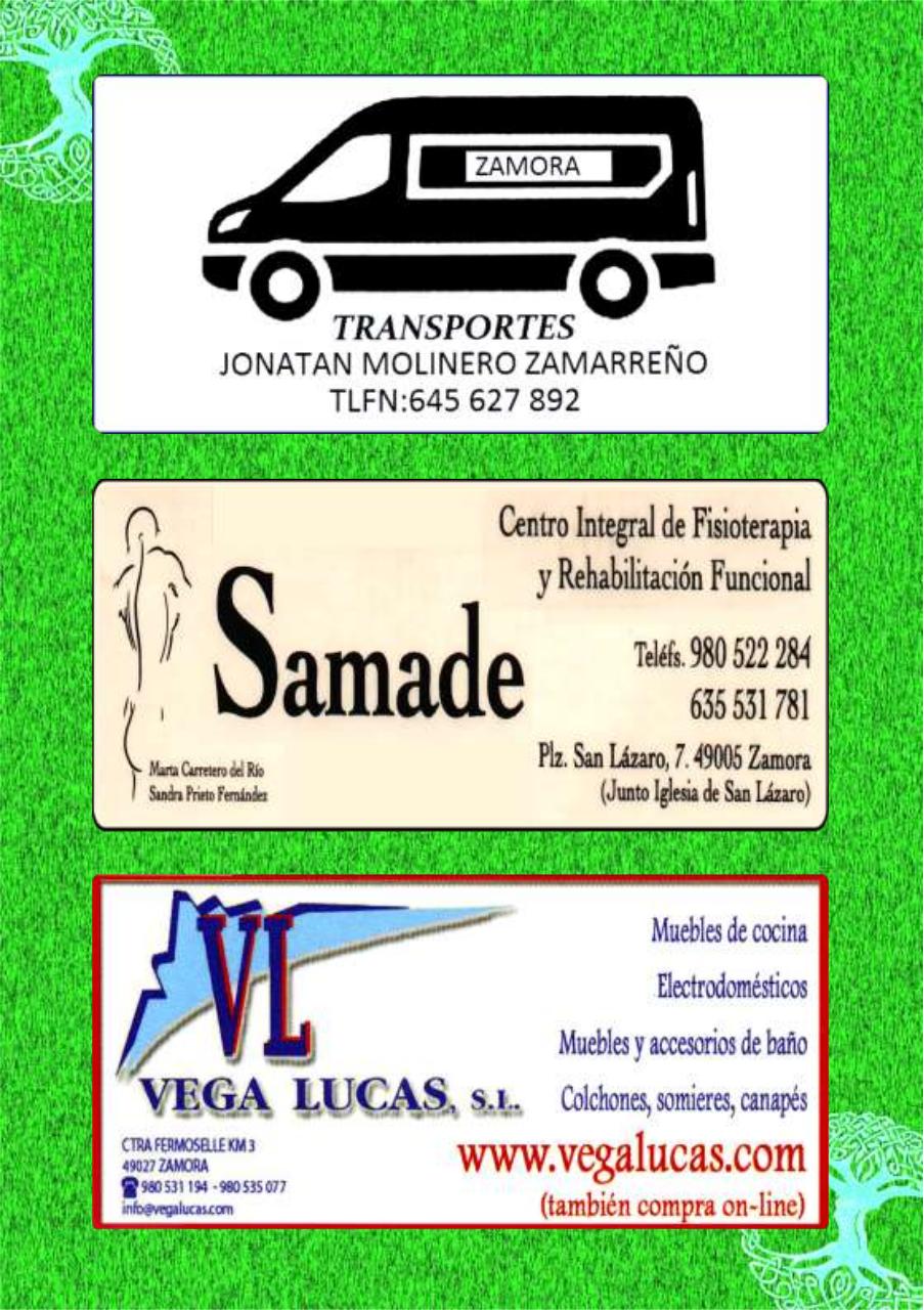 Vista previa del archivo PDF programa-de-fiestas-carrascal-2017.pdf