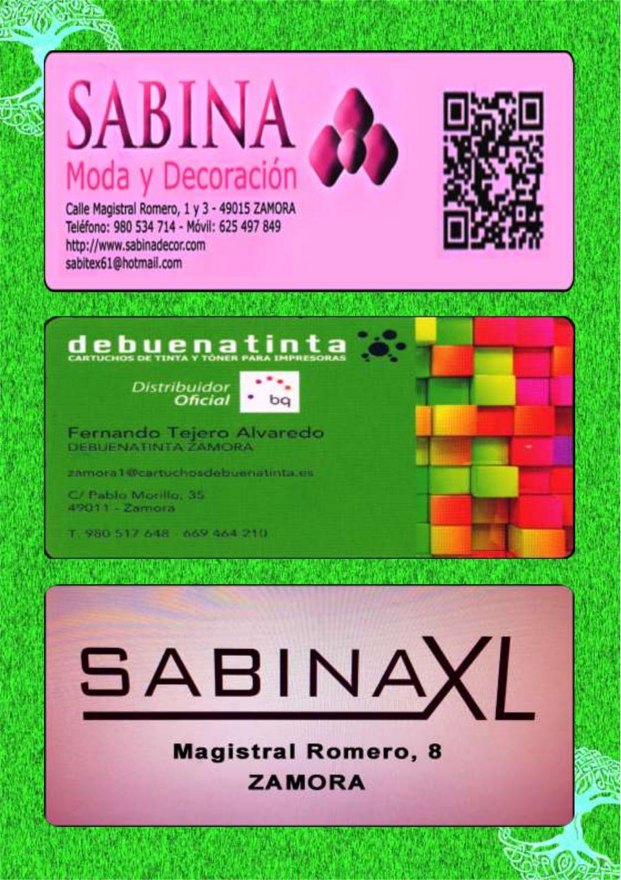 Vista previa del archivo PDF programa-de-fiestas-carrascal-2017.pdf