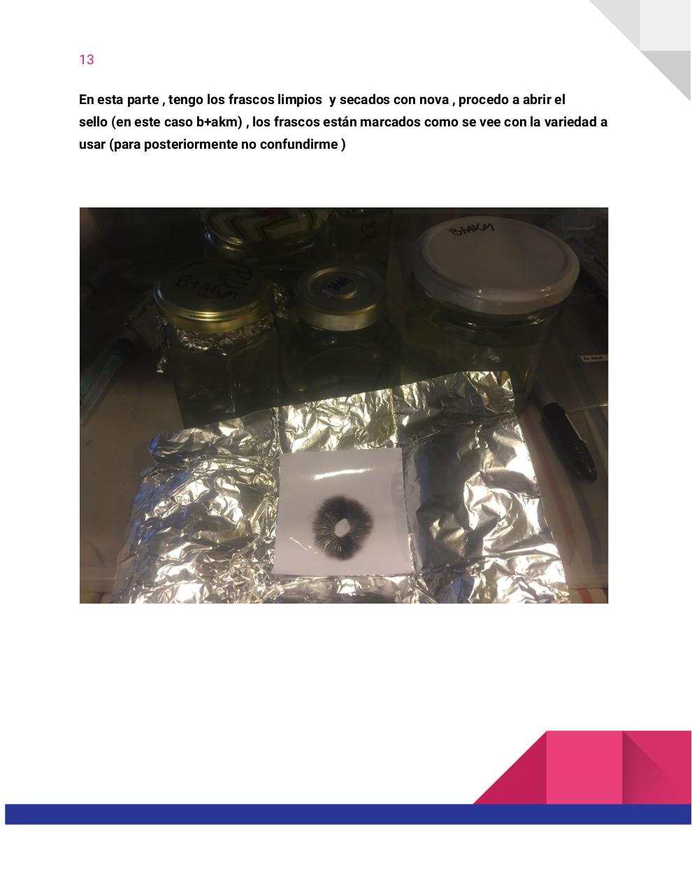 Vista previa del archivo PDF guia-honey-tek-12-db.pdf