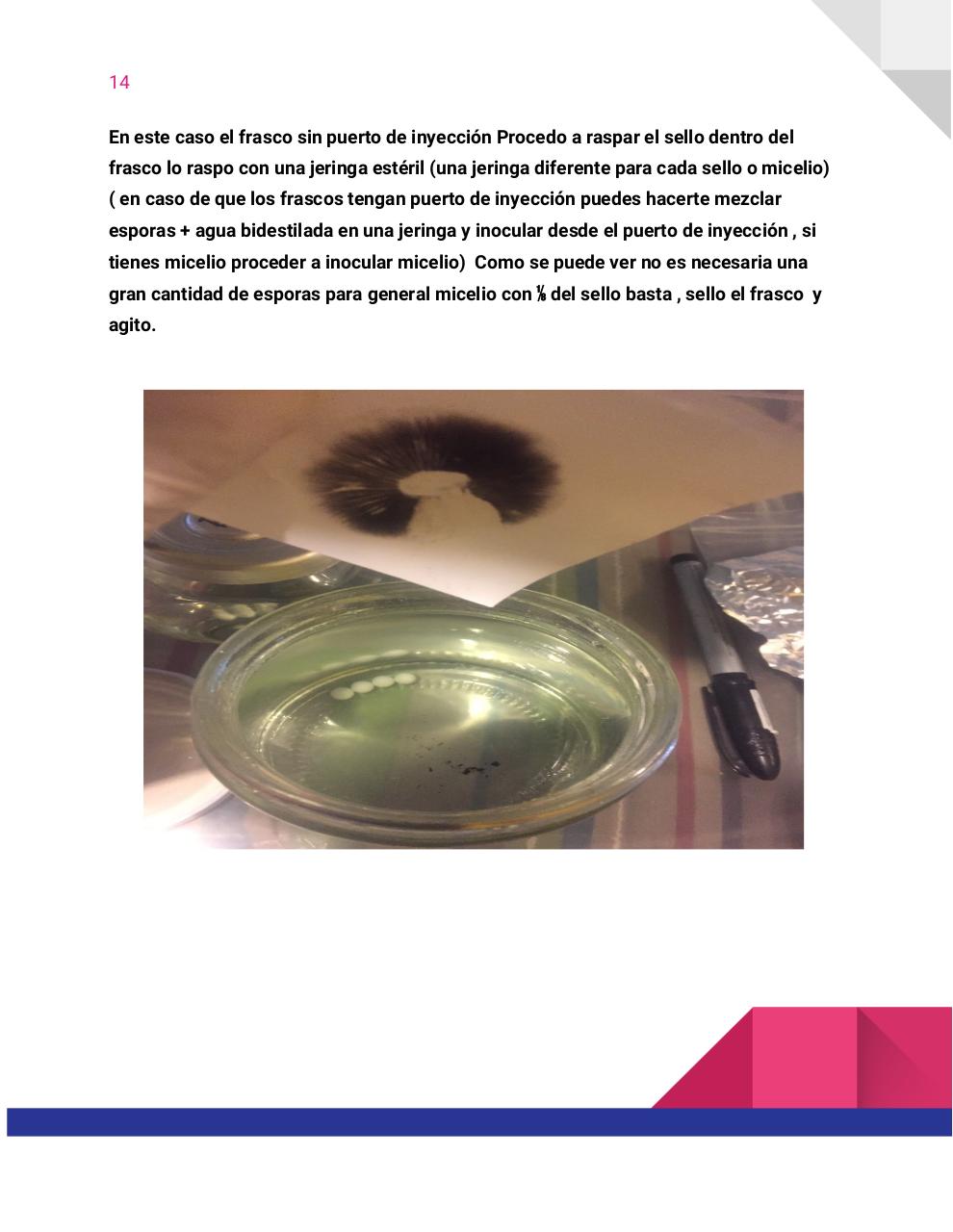 Vista previa del archivo PDF guia-honey-tek-12-db.pdf