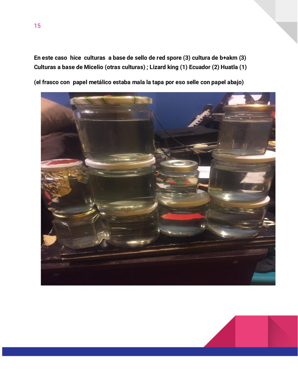 Vista previa del archivo PDF guia-honey-tek-12-db.pdf