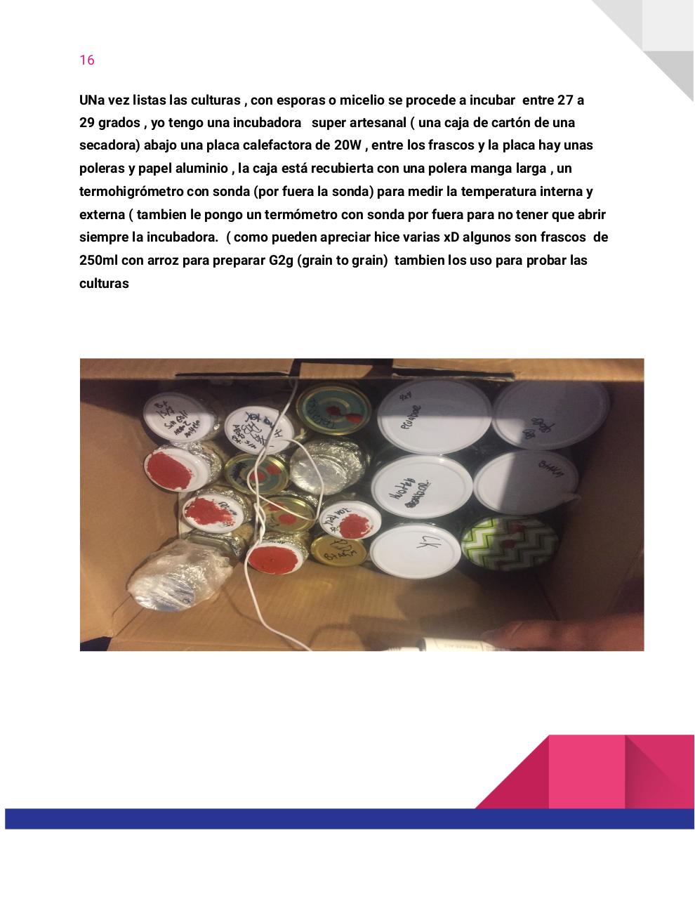 Vista previa del archivo PDF guia-honey-tek-12-db.pdf