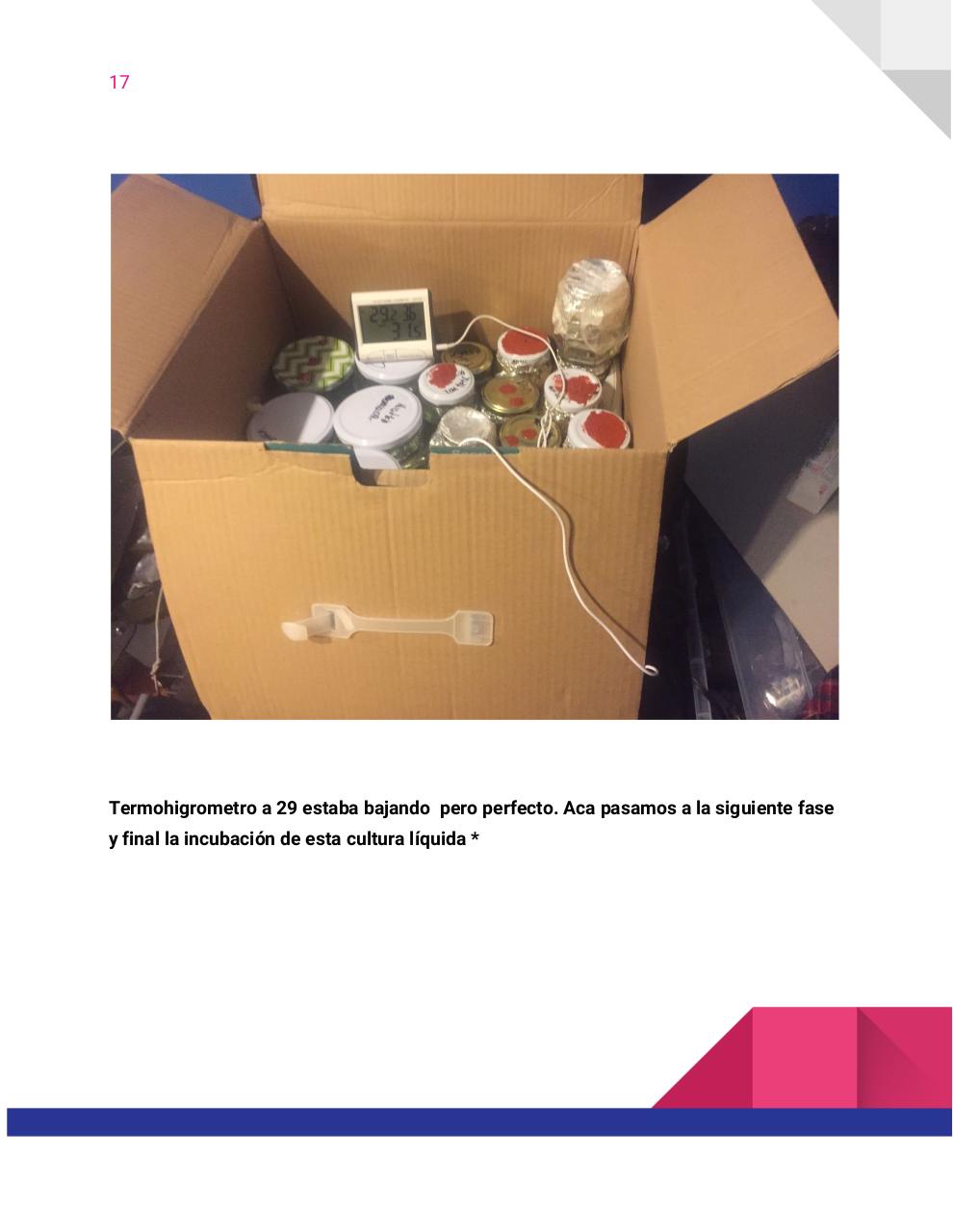 Vista previa del archivo PDF guia-honey-tek-12-db.pdf