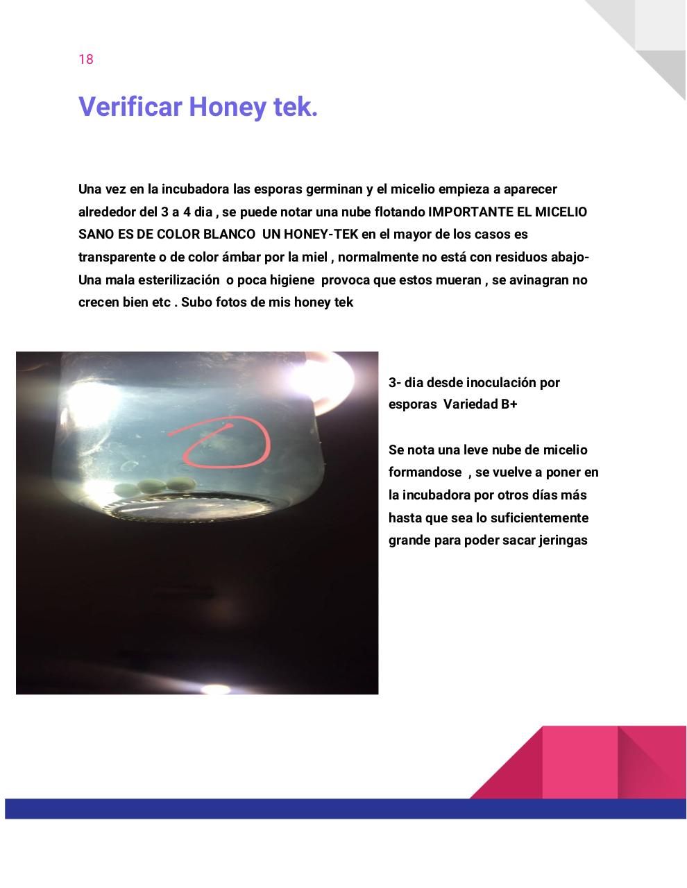 Vista previa del archivo PDF guia-honey-tek-12-db.pdf