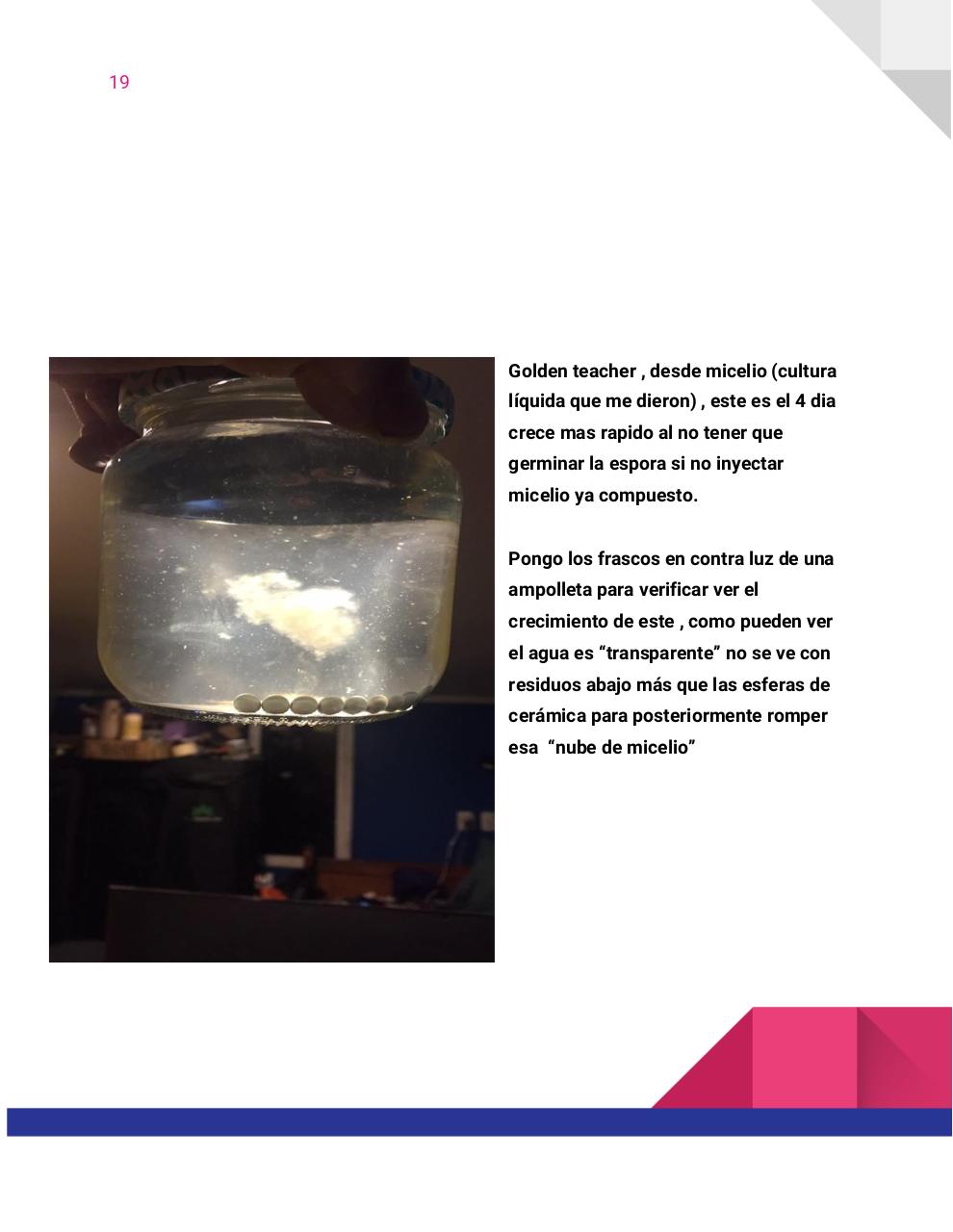 Vista previa del archivo PDF guia-honey-tek-12-db.pdf