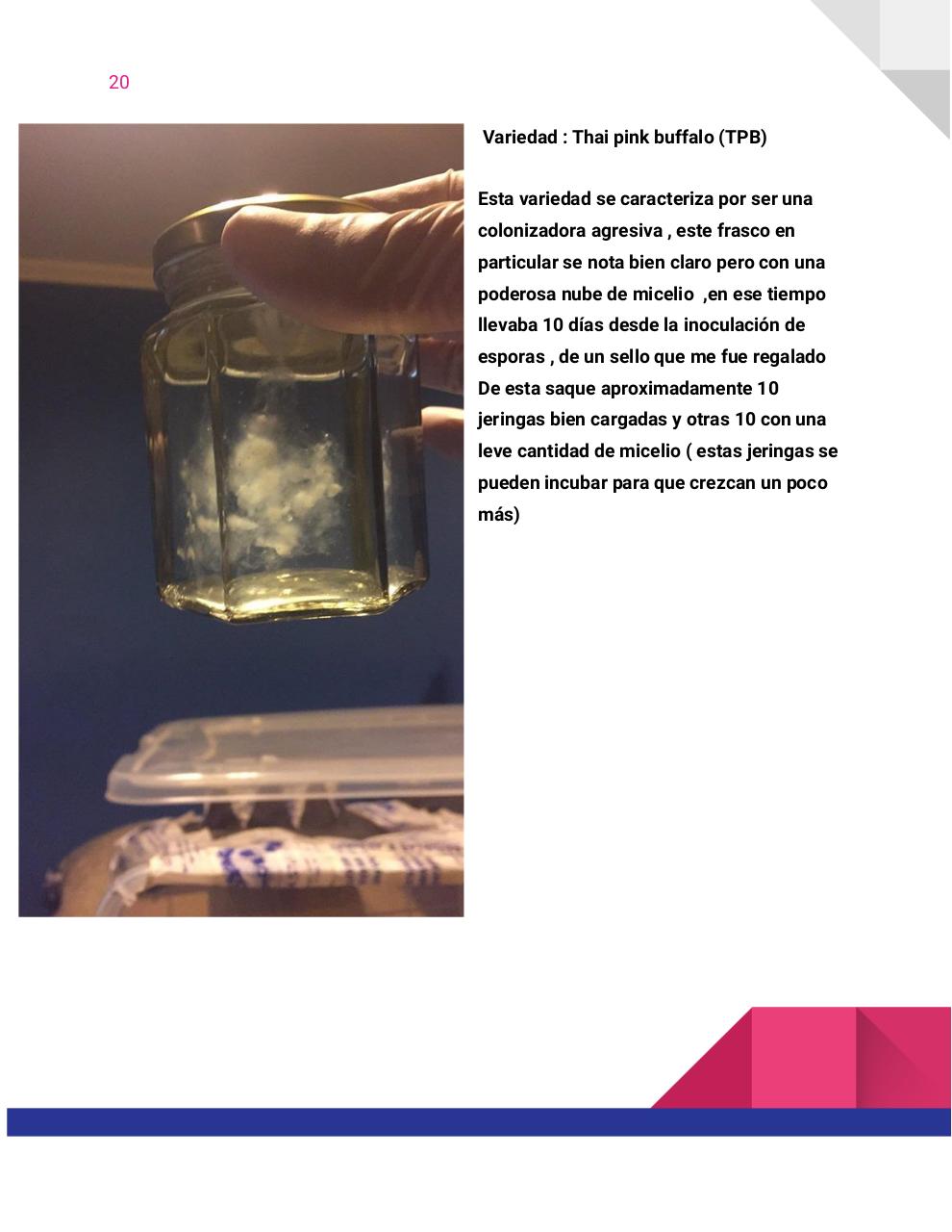 Vista previa del archivo PDF guia-honey-tek-12-db.pdf