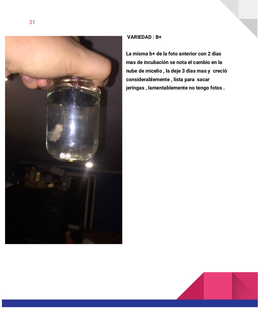 Vista previa del archivo PDF guia-honey-tek-12-db.pdf