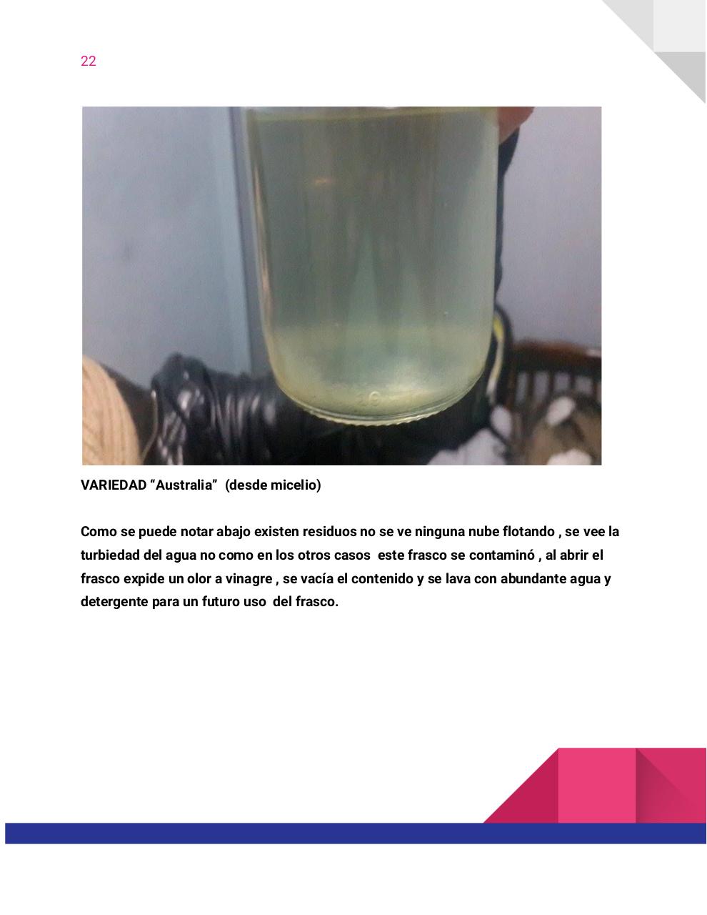 Vista previa del archivo PDF guia-honey-tek-12-db.pdf