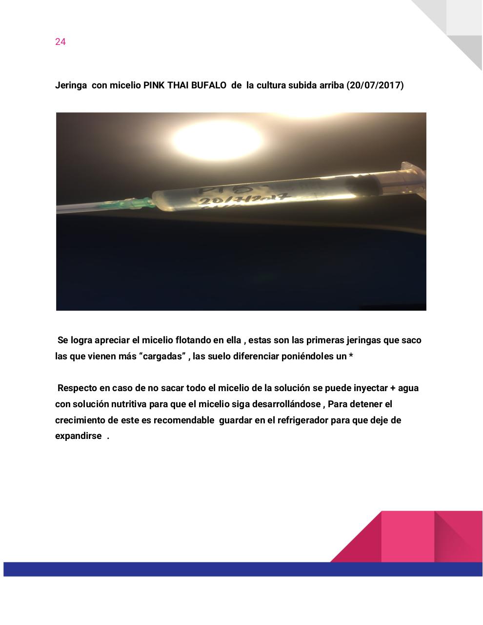 Vista previa del archivo PDF guia-honey-tek-12-db.pdf