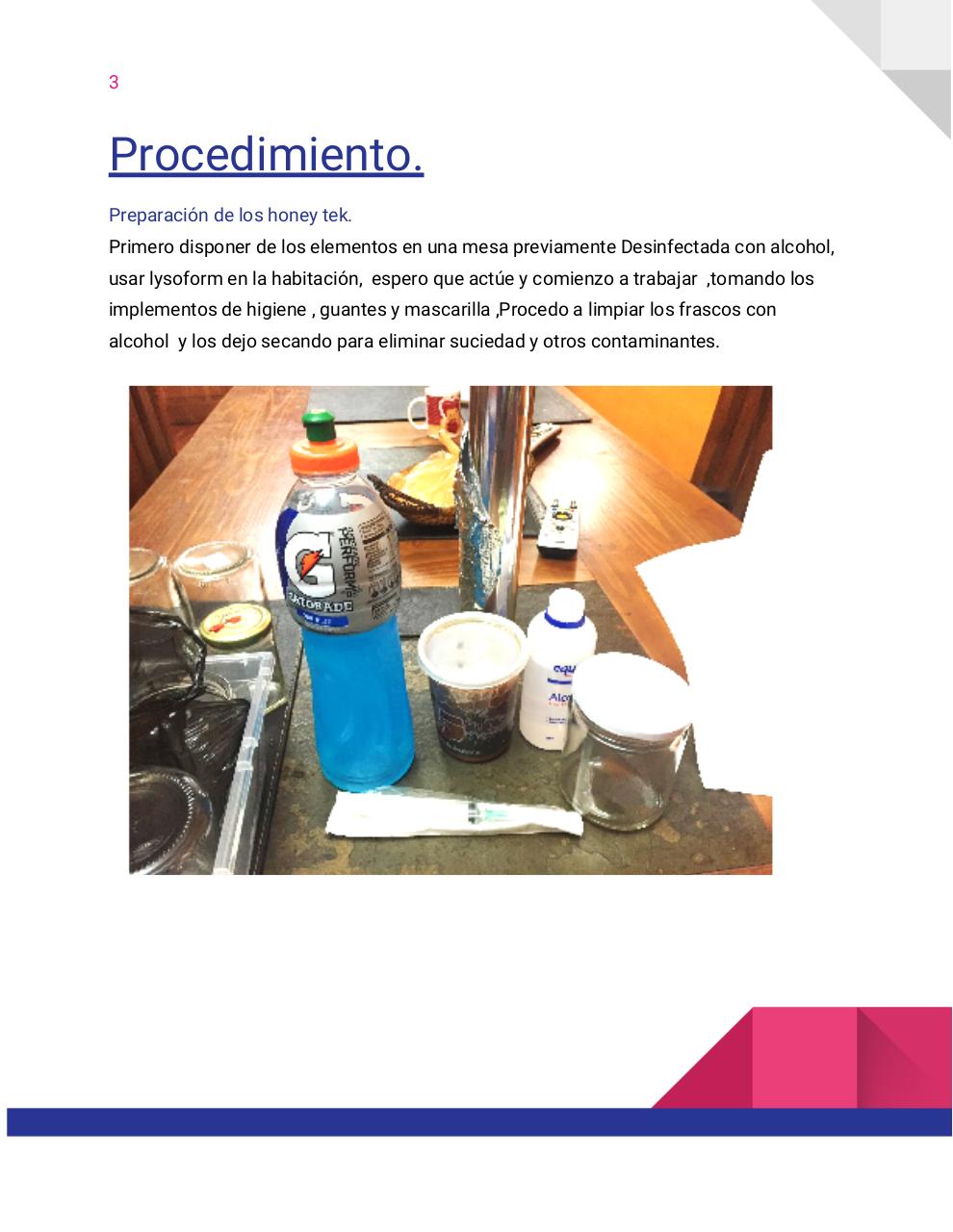 Vista previa del archivo PDF guia-honey-tek-12-db.pdf