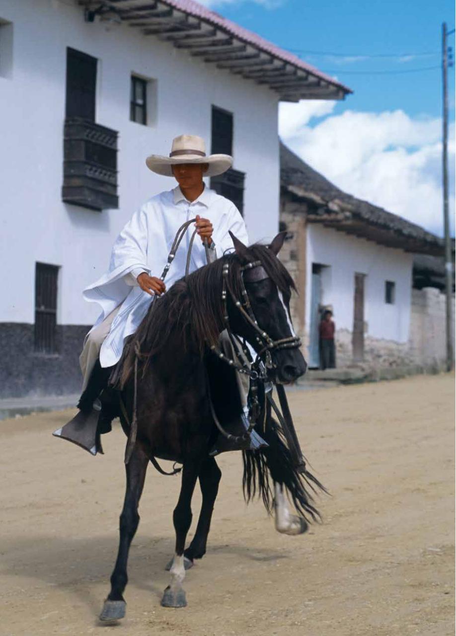 Vista previa del archivo PDF libro-de-oro-marca-peru-2012.pdf