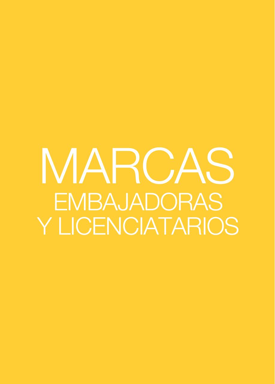 Vista previa del archivo PDF libro-de-oro-marca-peru-2012.pdf