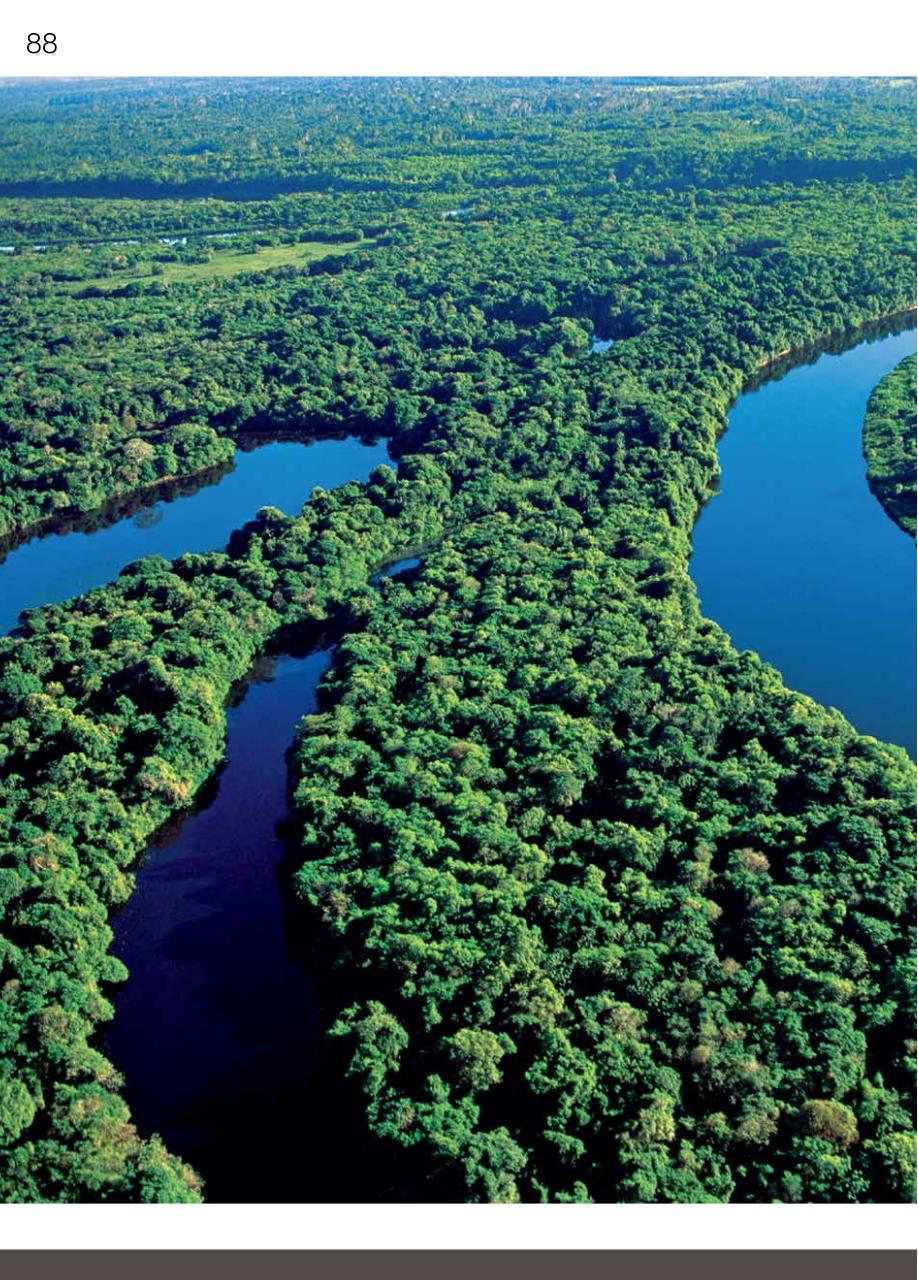 Vista previa del archivo PDF libro-de-oro-marca-peru-2012.pdf