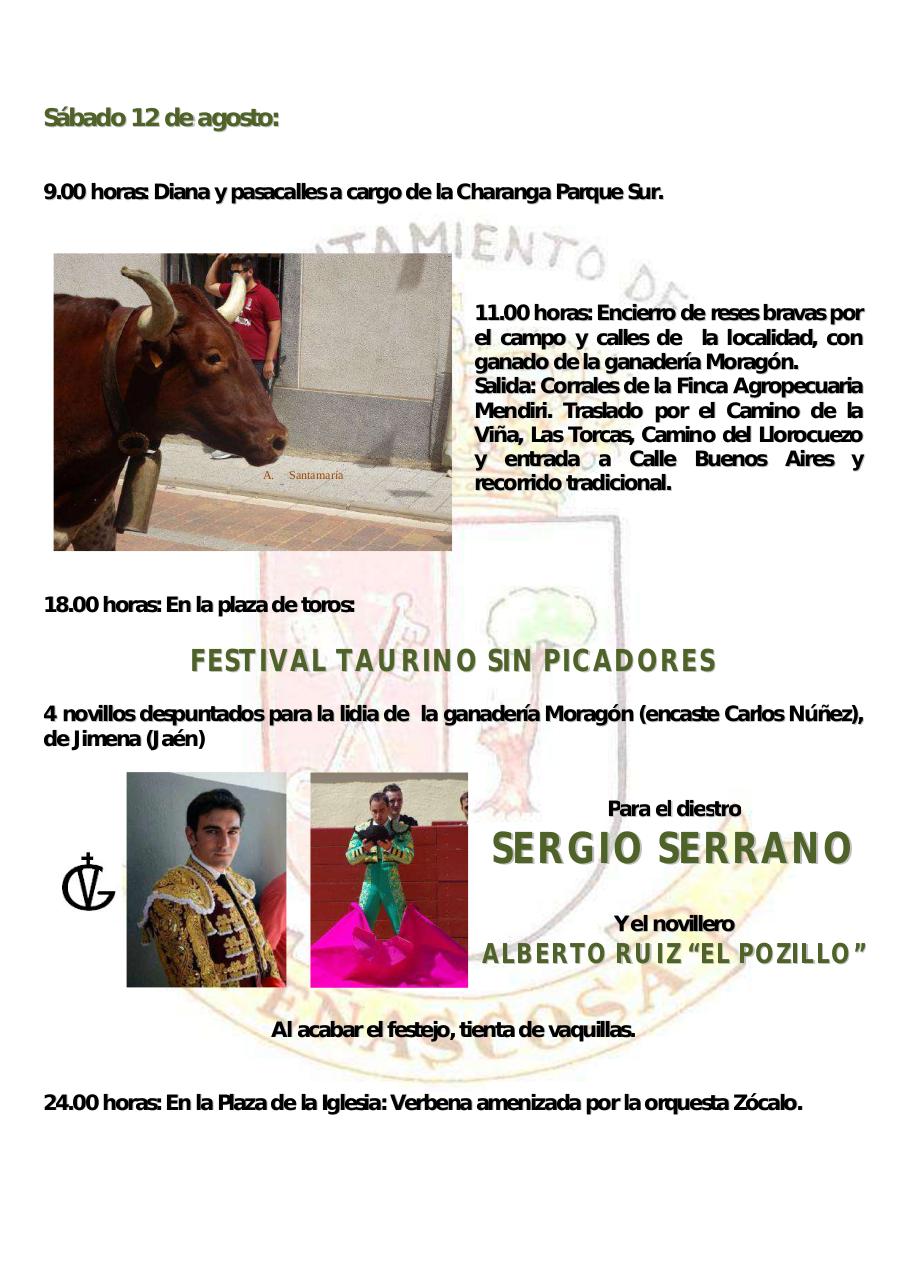 Vista previa del archivo PDF programa-fiestas-2017.pdf