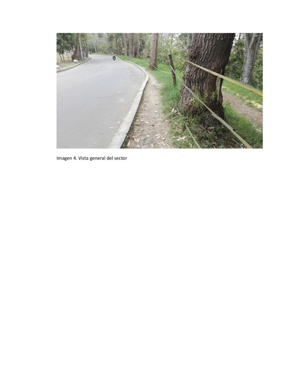 Vista previa del archivo PDF jairo-pequi-actividad-individual-consolidada.pdf