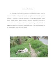 Jairo_Pequi -Actividad individual-CONSOLIDADA.pdf - página 5/10