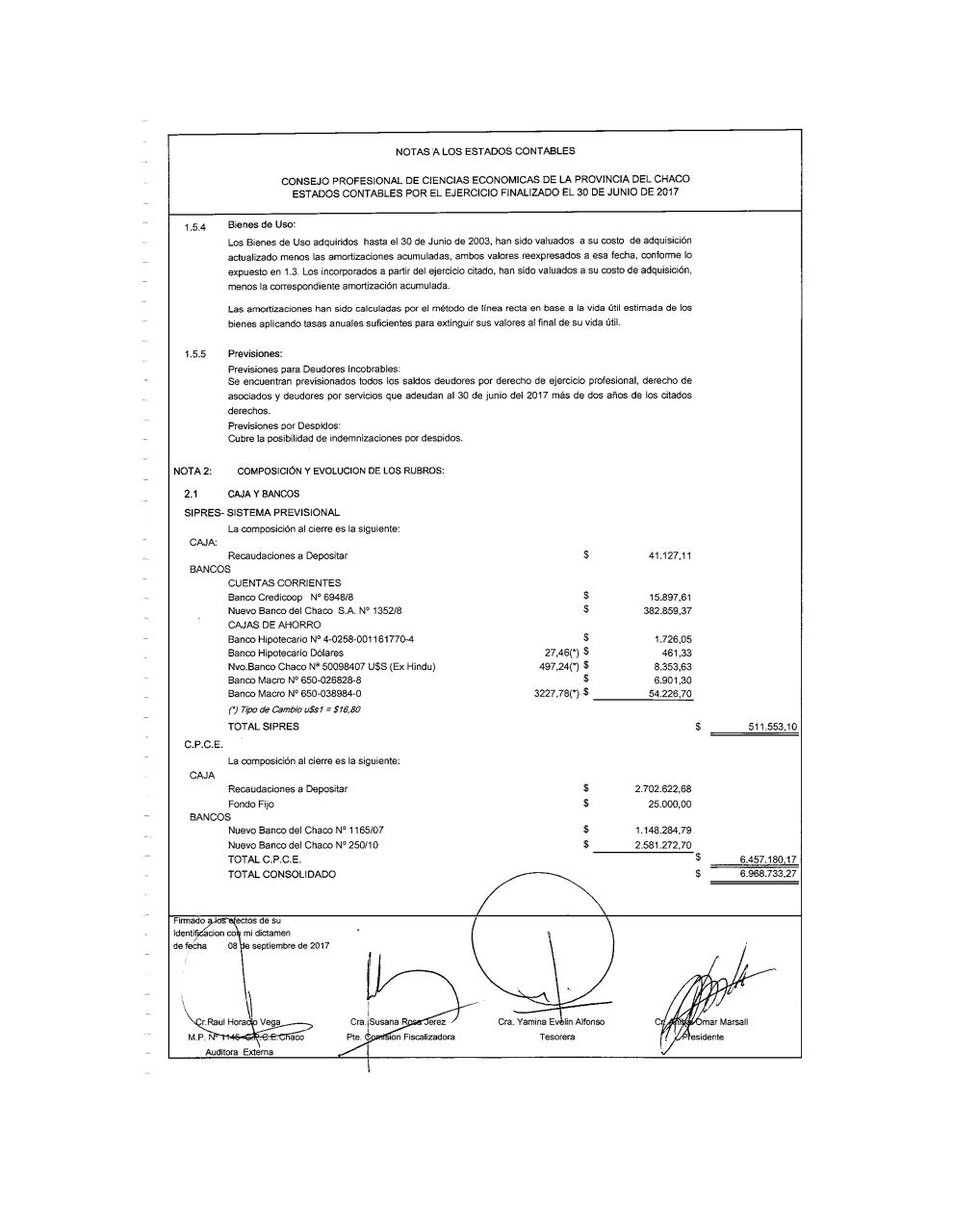 Vista previa del archivo PDF balance-2017.pdf