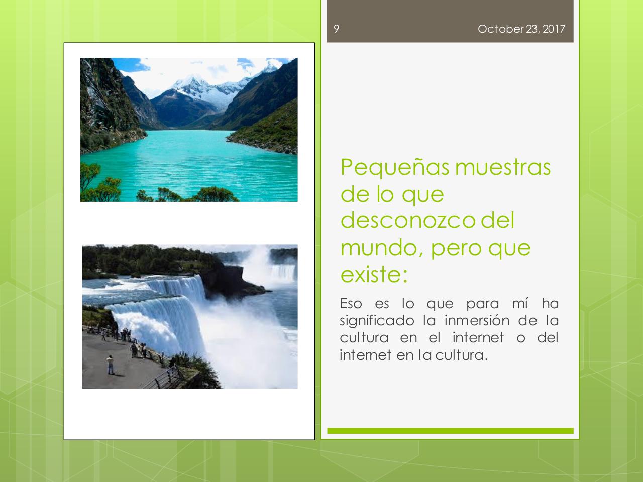 Vista previa del archivo PDF internet.pdf