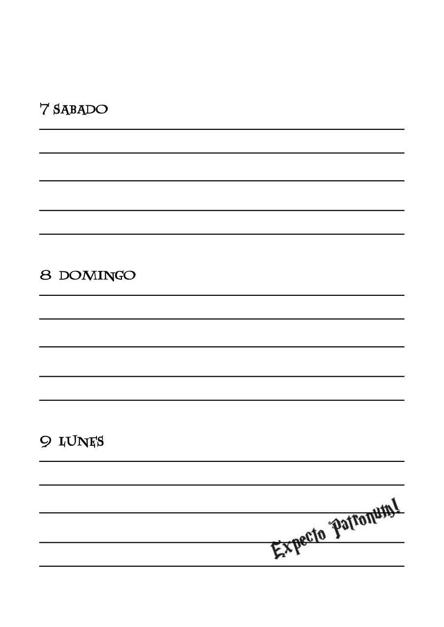 Vista previa del archivo PDF agenda.pdf