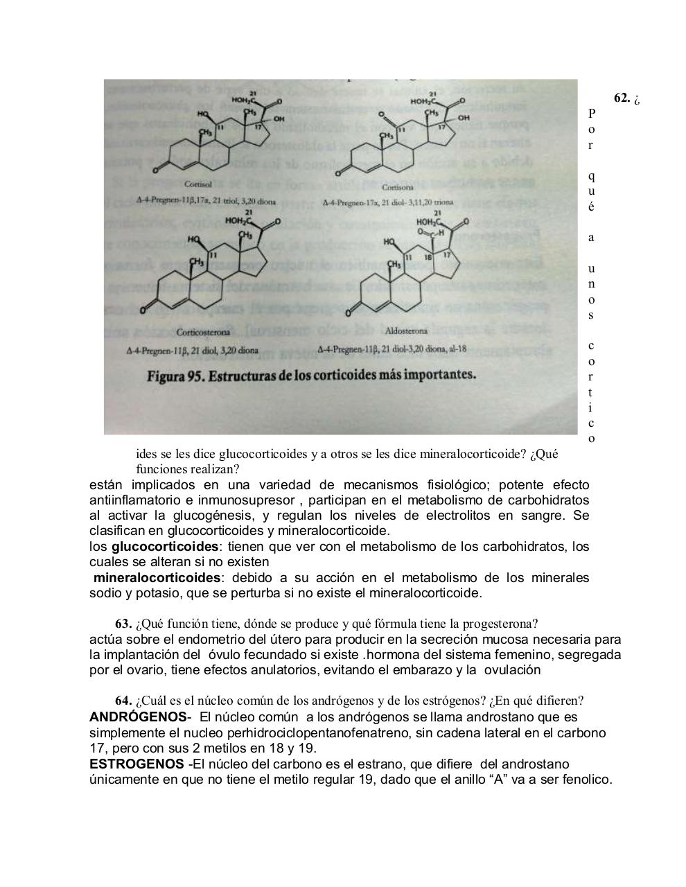 Vista previa del archivo PDF cuestionario-lipidos.pdf