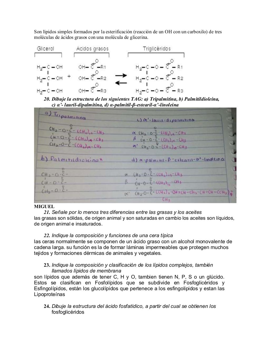 Vista previa del archivo PDF cuestionario-lipidos.pdf