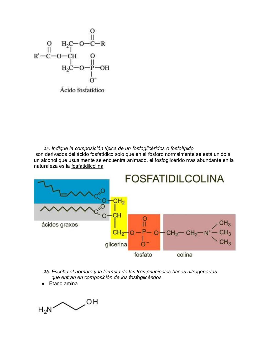 Vista previa del archivo PDF cuestionario-lipidos.pdf