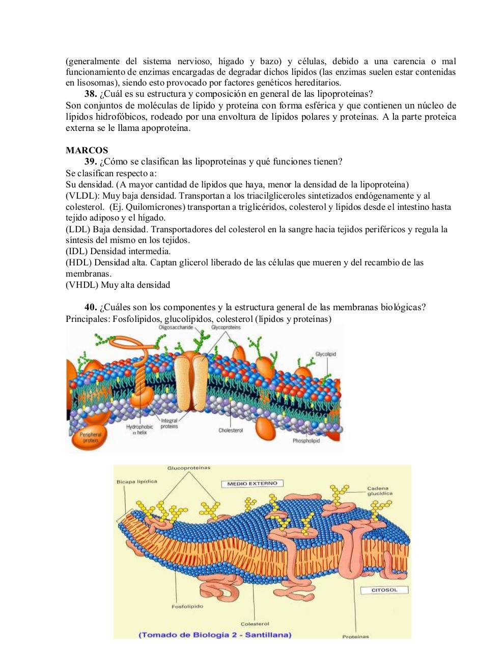 Vista previa del archivo PDF cuestionario-lipidos.pdf