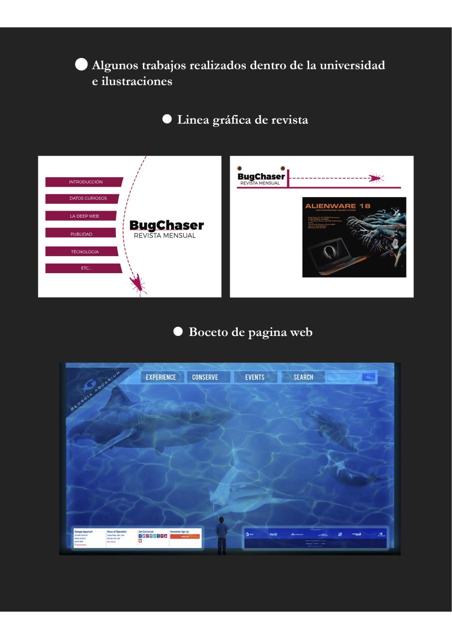 Vista previa del archivo PDF curriculum.pdf