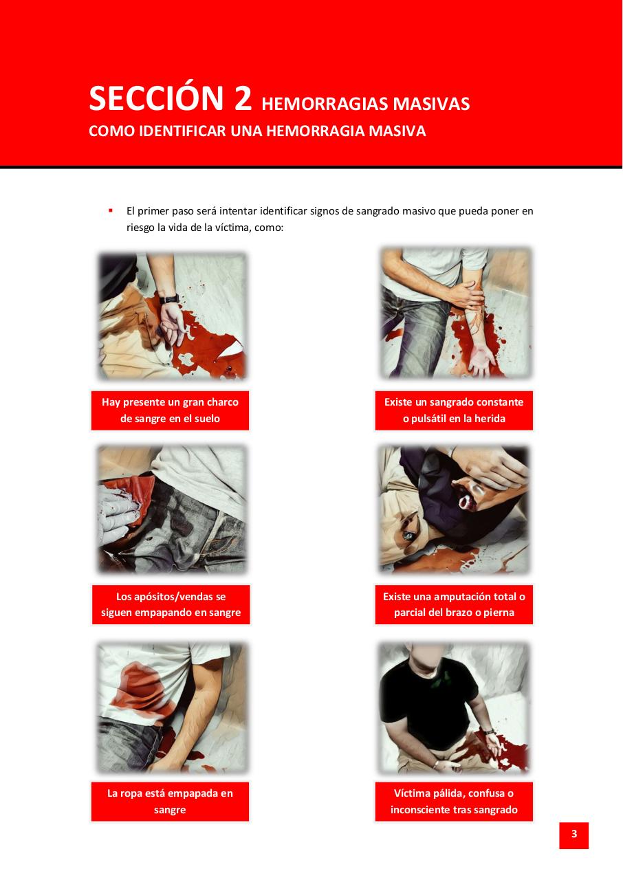 Vista previa del archivo PDF gui-as-m-a-c-t-a-c.pdf