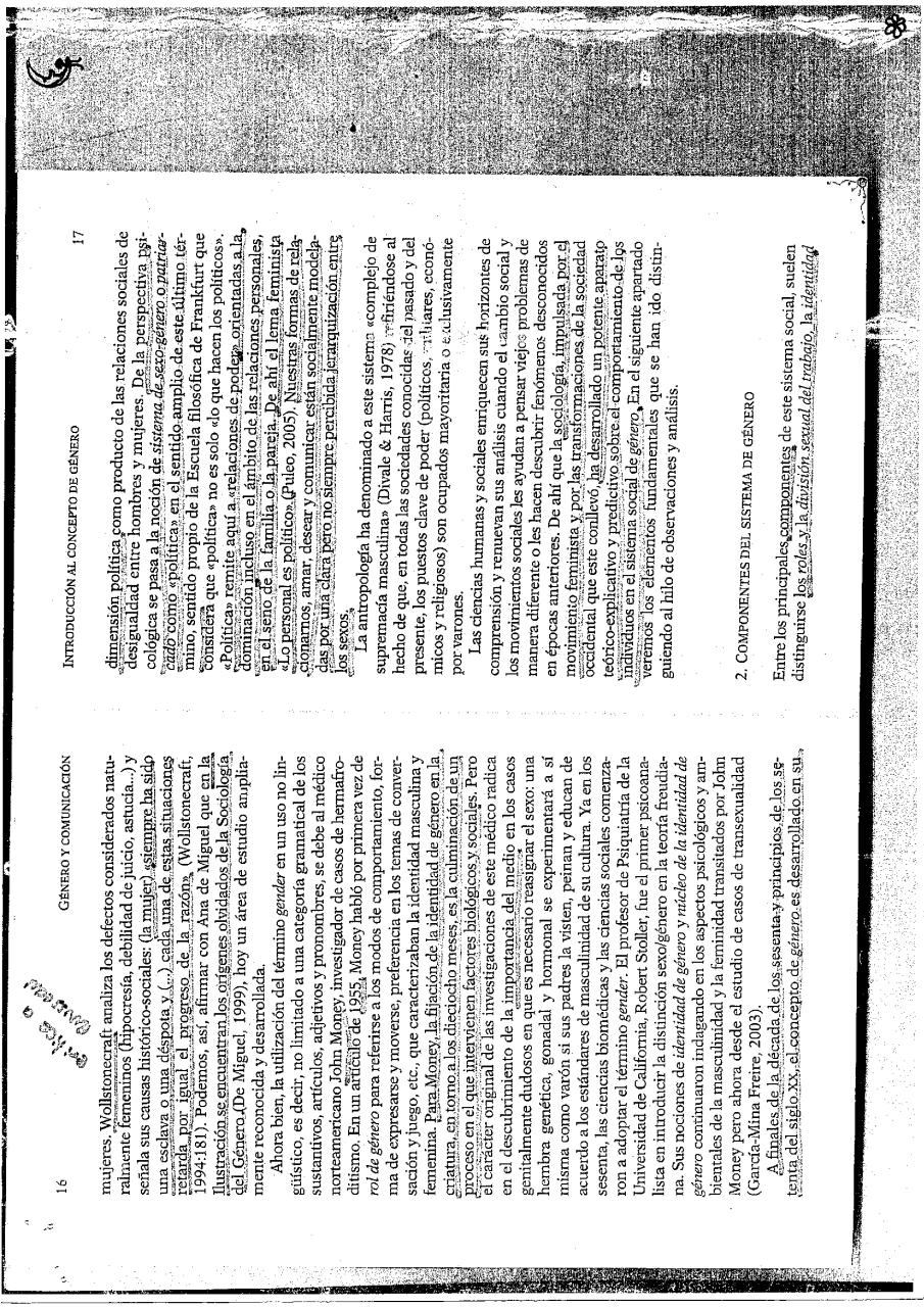 Vista previa del archivo PDF image.pdf