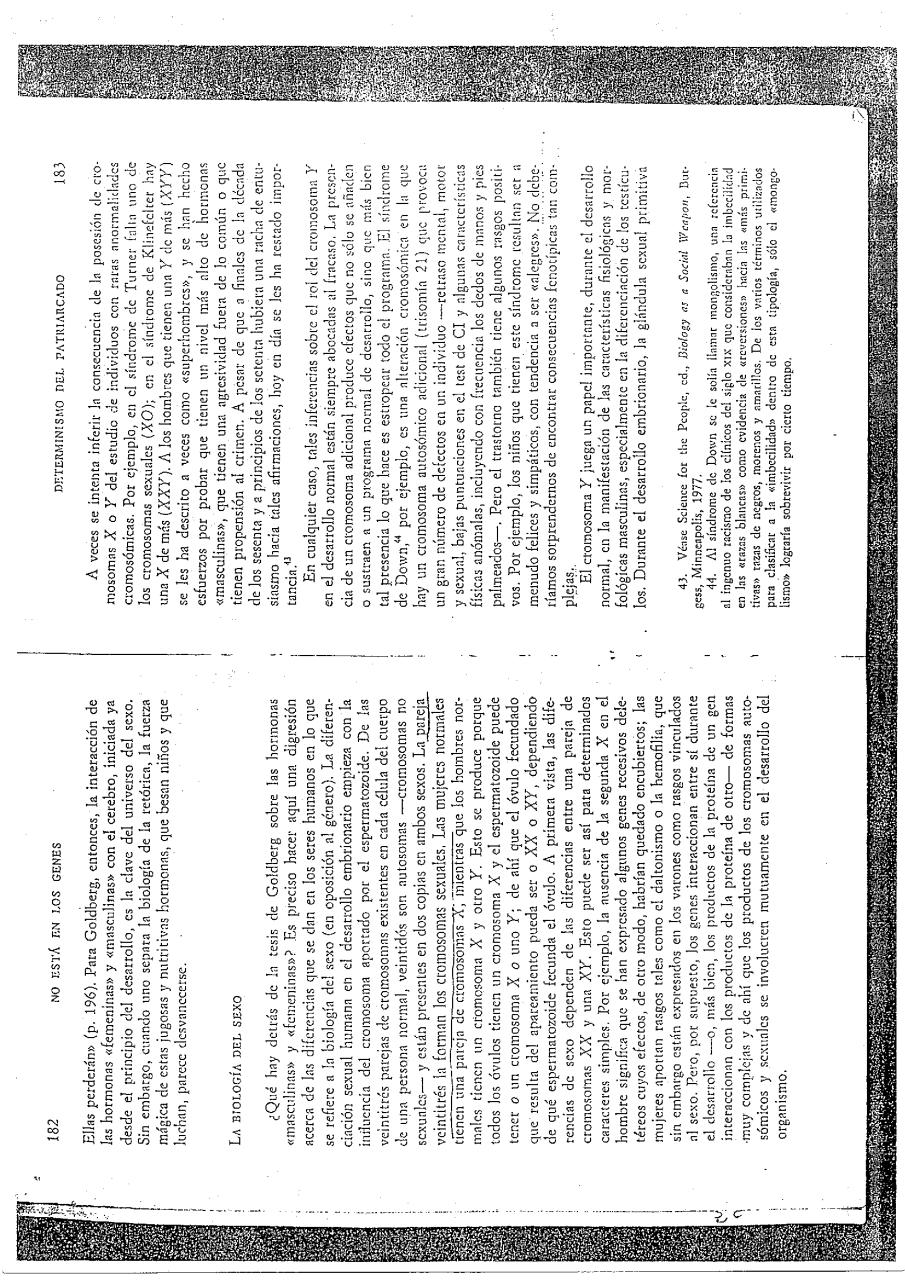 Vista previa del archivo PDF image061217092836.pdf
