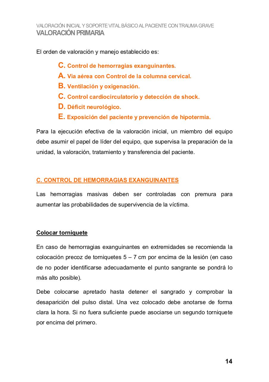 Vista previa del archivo PDF manual-asistencia-inicial-basica-al-trauma-grave.pdf