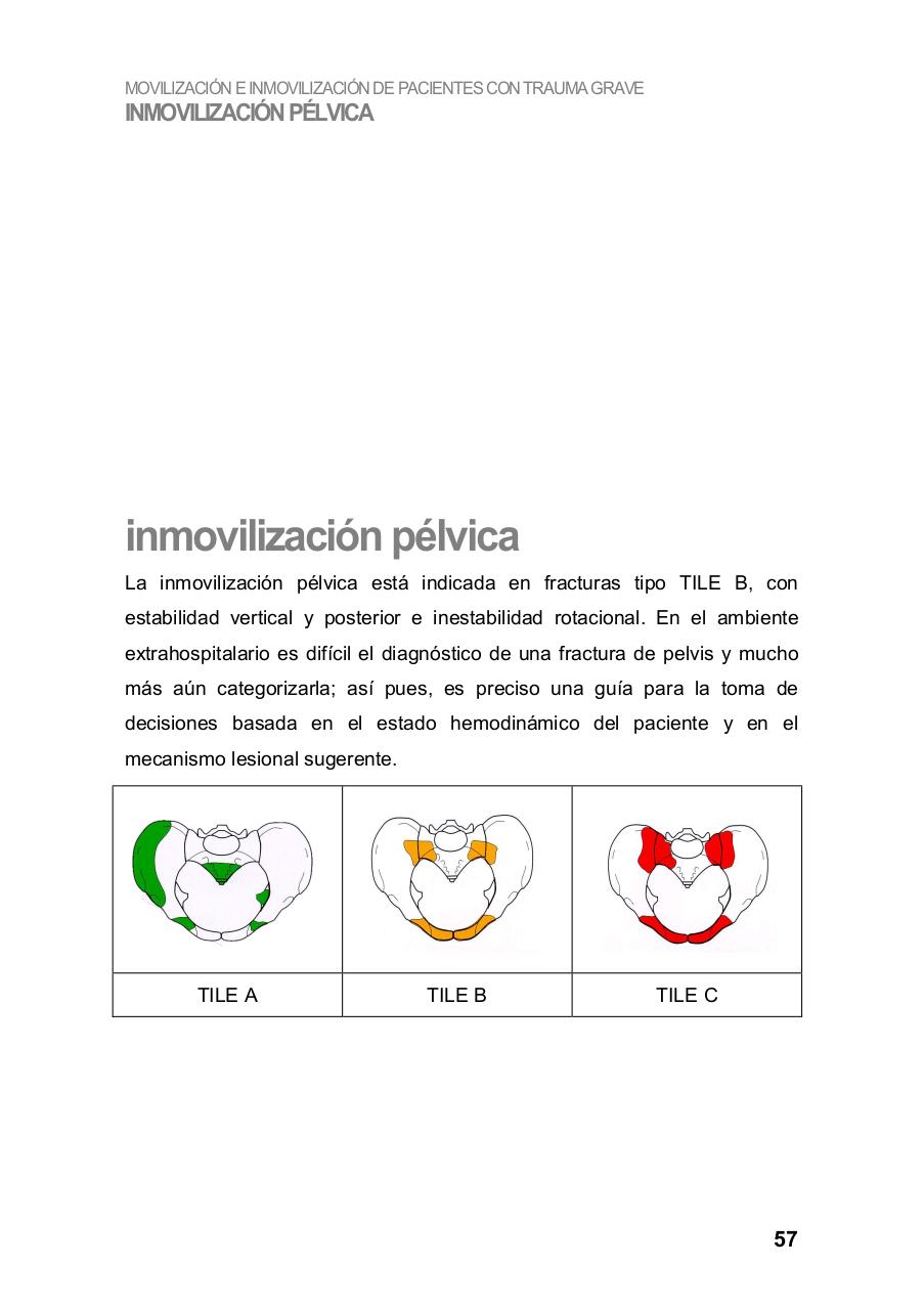 Vista previa del archivo PDF manual-asistencia-inicial-basica-al-trauma-grave.pdf