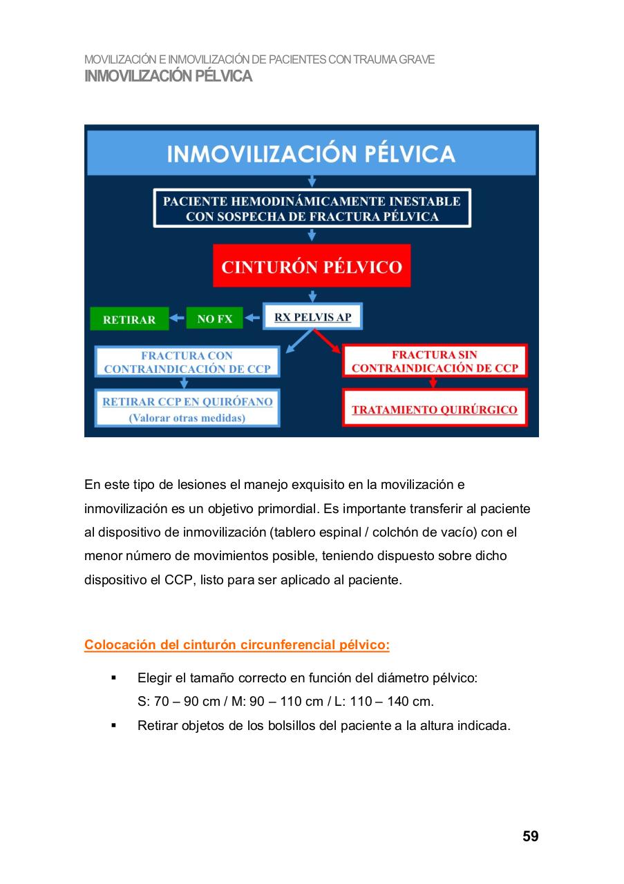 Vista previa del archivo PDF manual-asistencia-inicial-basica-al-trauma-grave.pdf