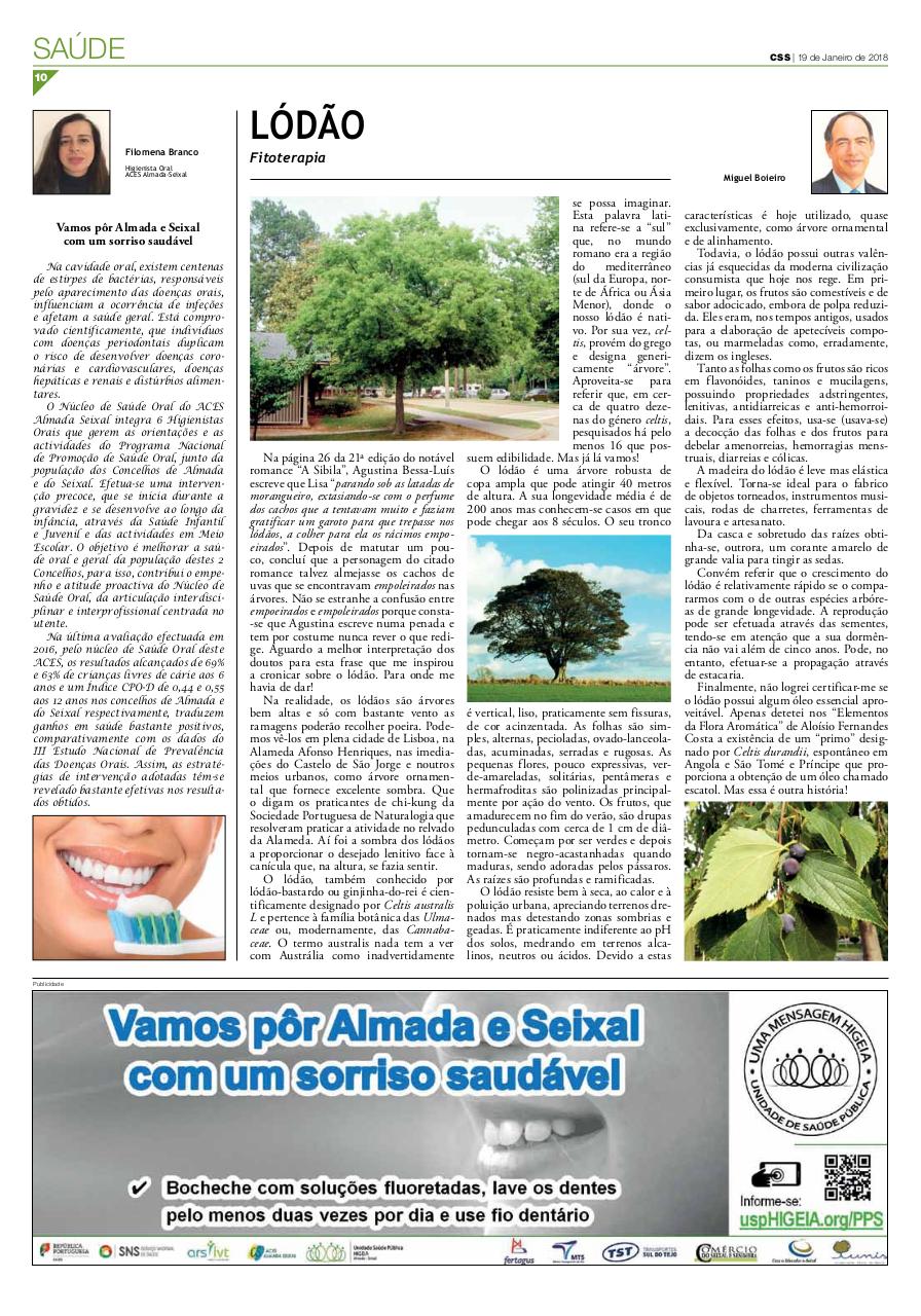 Vista previa del archivo PDF css-354.pdf