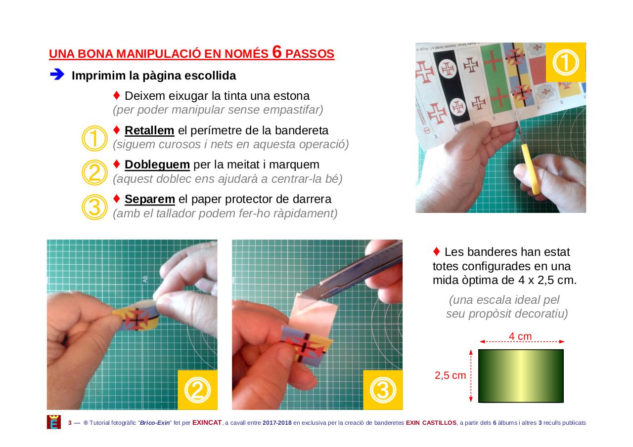 Vista previa del archivo PDF banderes-n-10-miscel-l-nia-rfa-pdf10ban.pdf