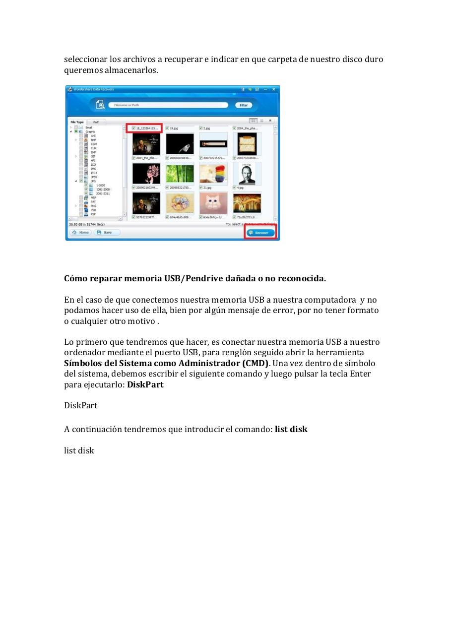 Vista previa del archivo PDF recuperacion-de-datos.pdf
