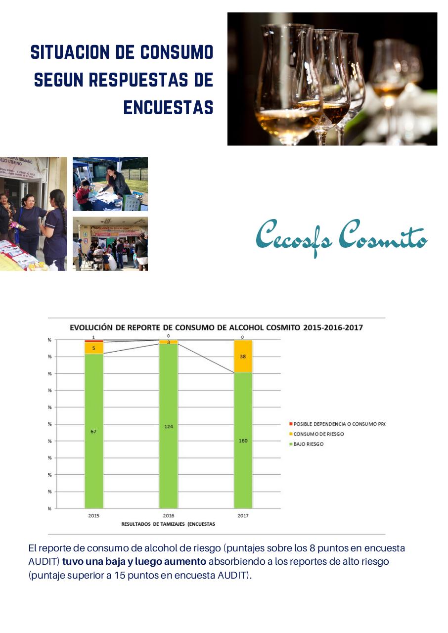 Vista previa del archivo PDF consumo-de-alcohol-penco-2015-2017.pdf