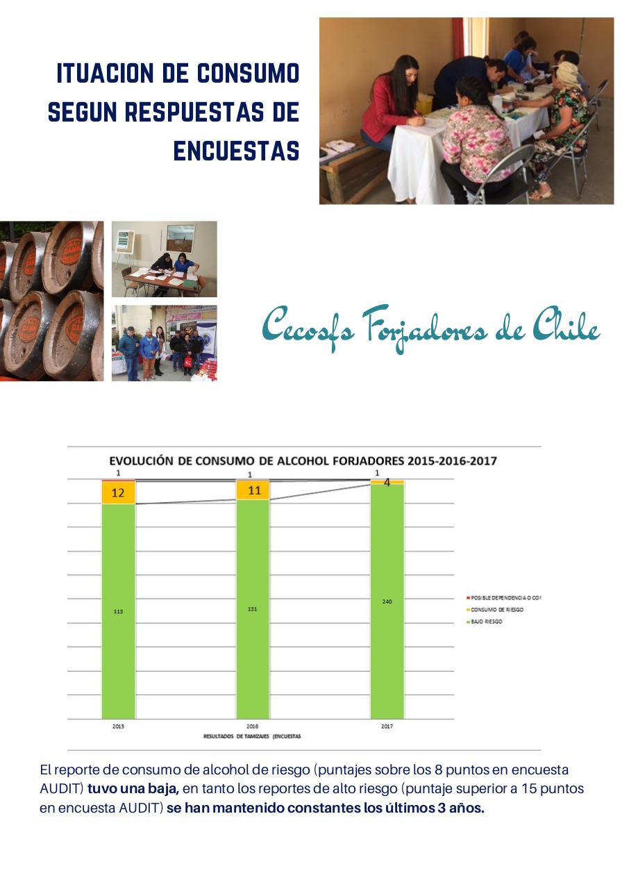 Vista previa del archivo PDF consumo-de-alcohol-penco-2015-2017.pdf