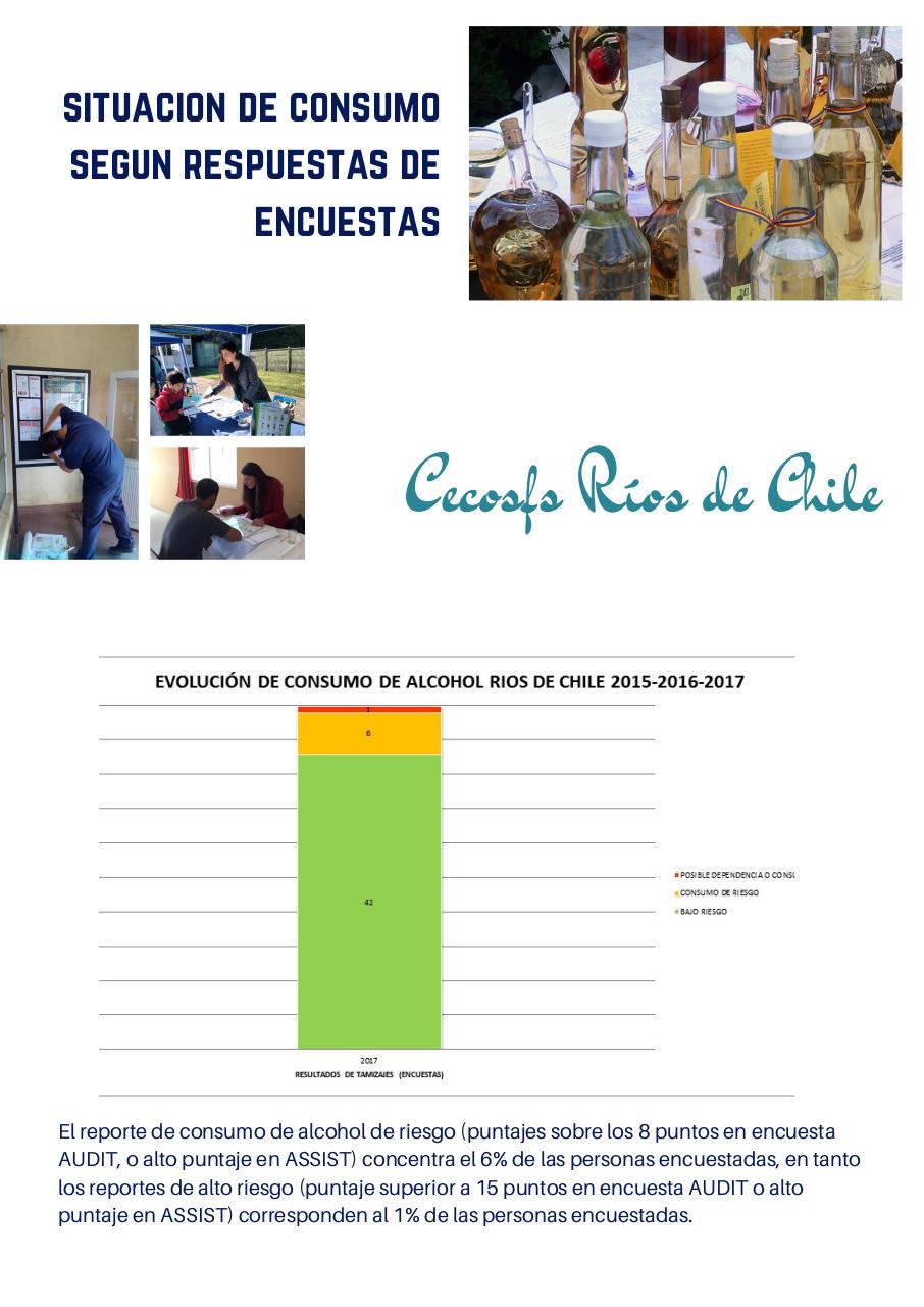Vista previa del archivo PDF consumo-de-alcohol-penco-2015-2017.pdf