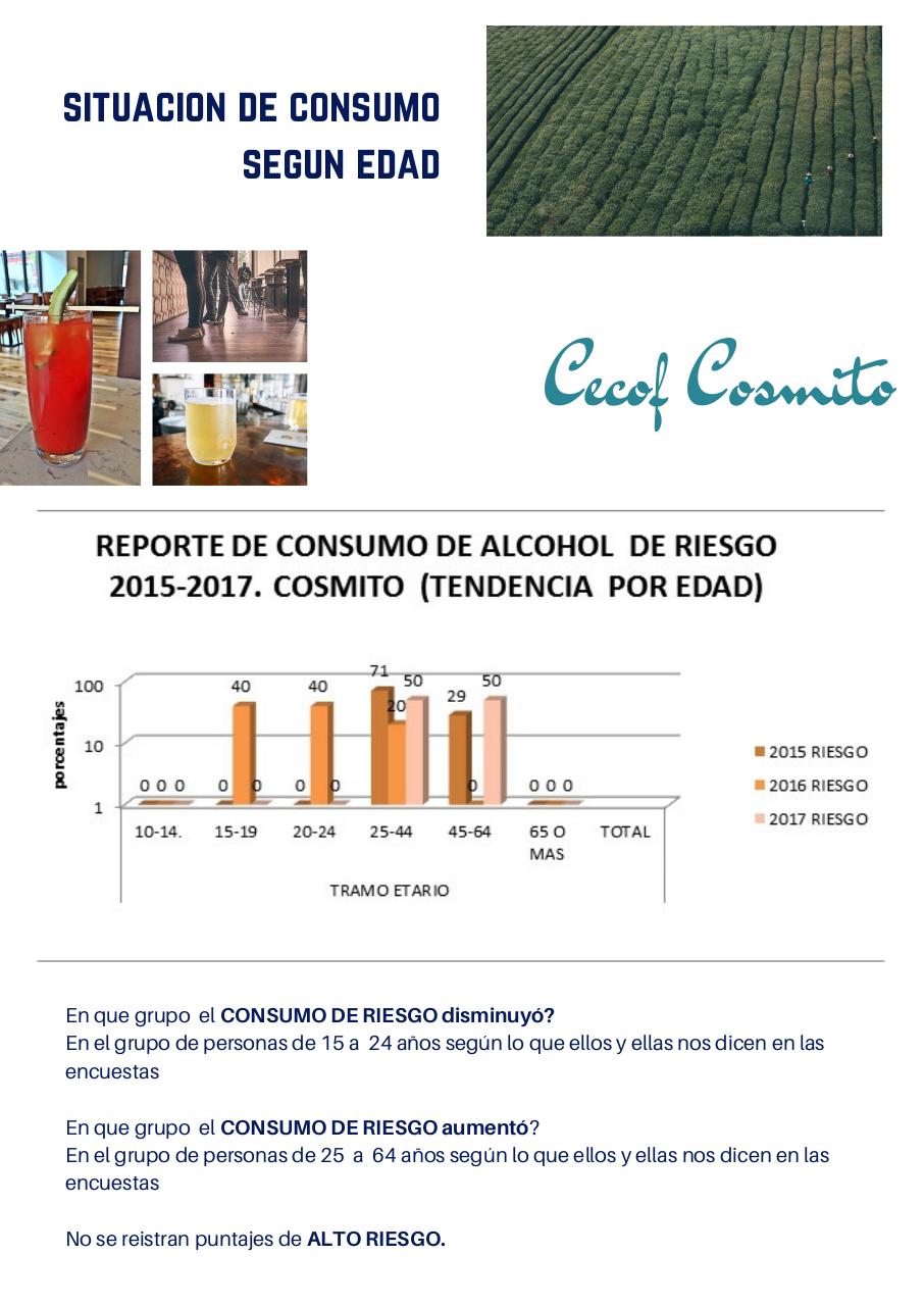 Vista previa del archivo PDF consumo-de-alcohol-penco-2015-2017.pdf