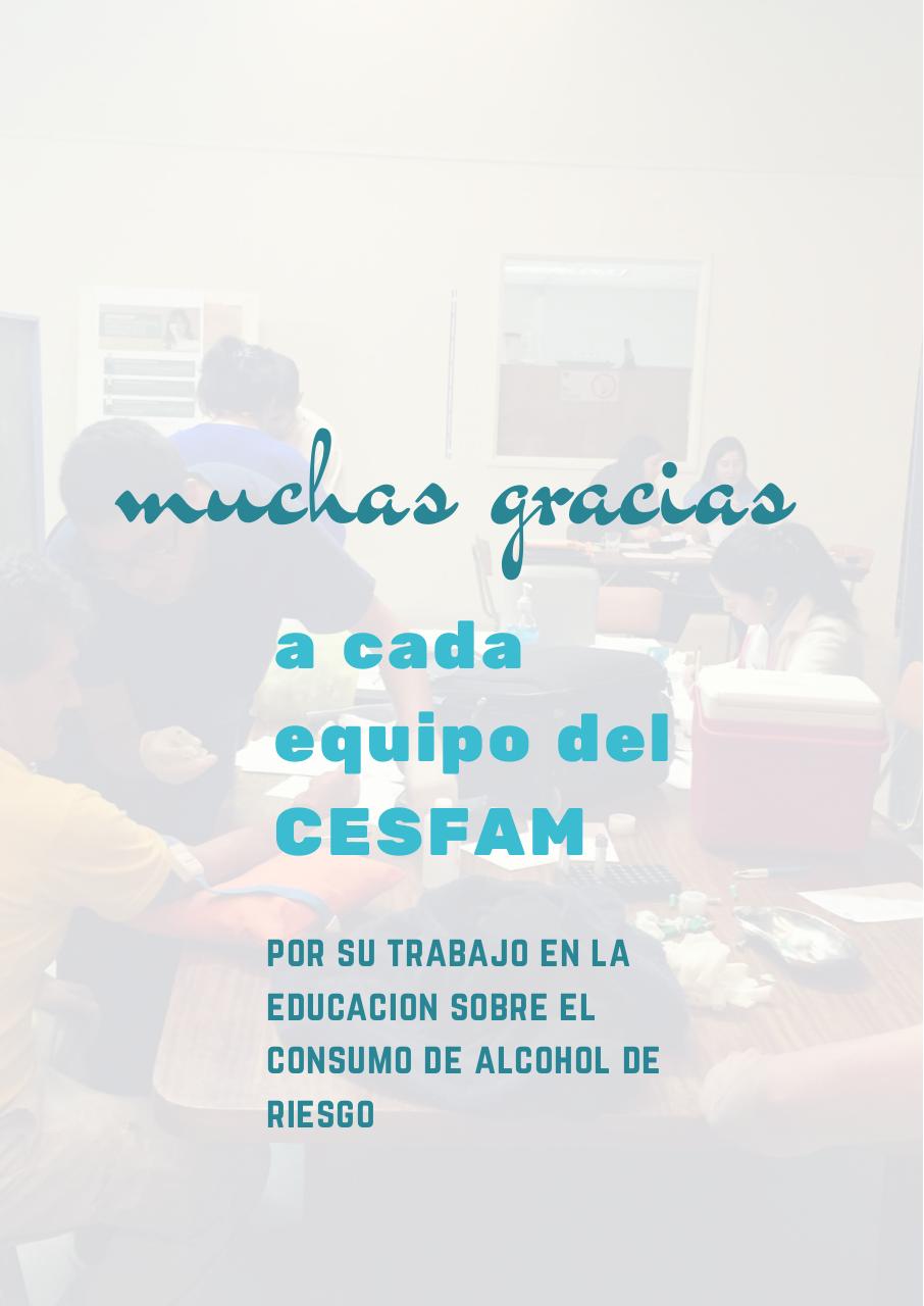 Vista previa del archivo PDF consumo-de-alcohol-penco-2015-2017.pdf