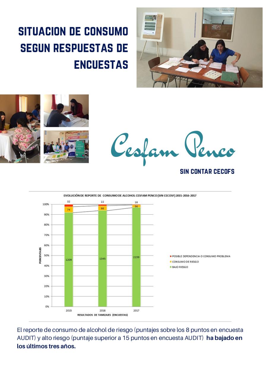 Vista previa del archivo PDF consumo-de-alcohol-penco-2015-2017.pdf