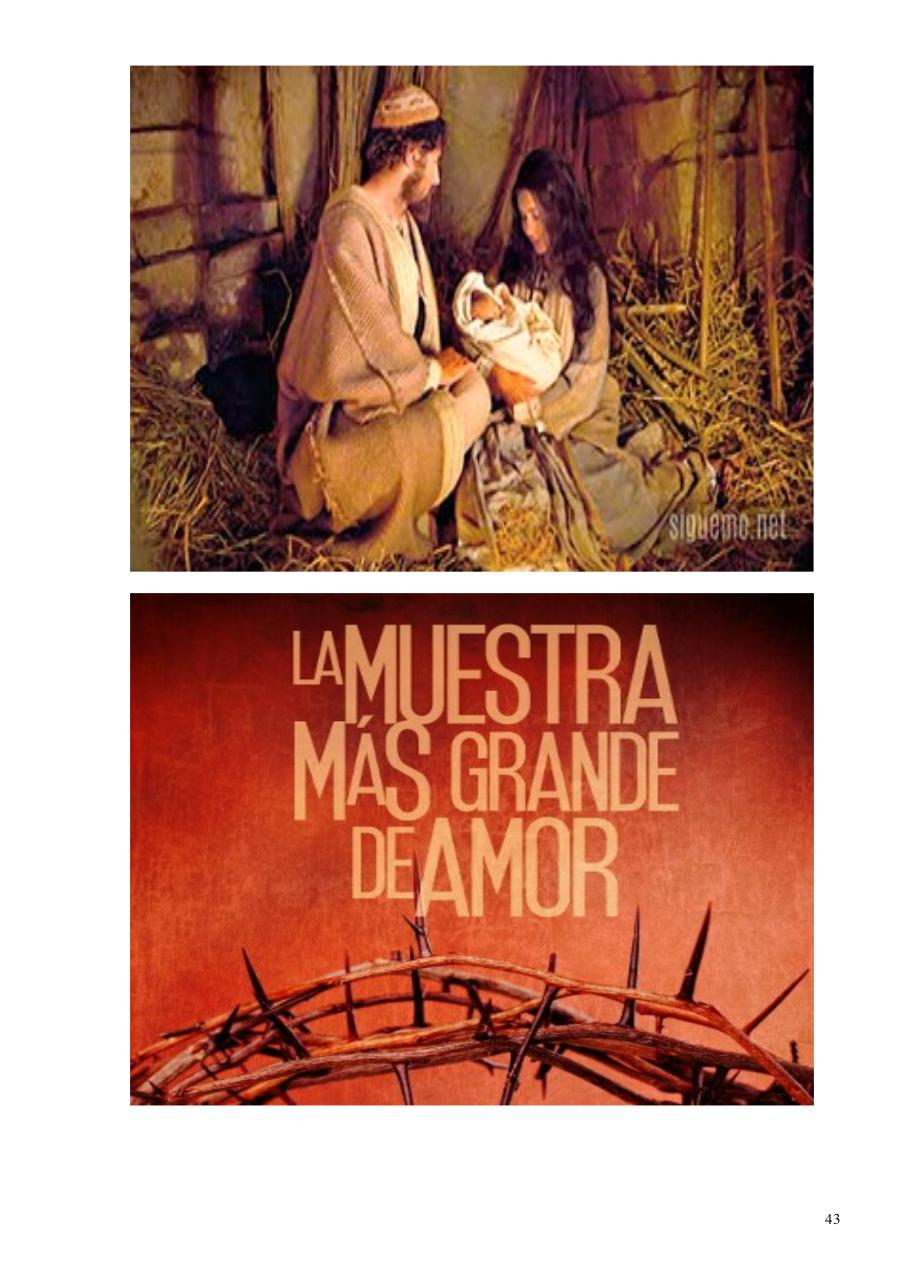 Vista previa del archivo PDF e-book-original.pdf