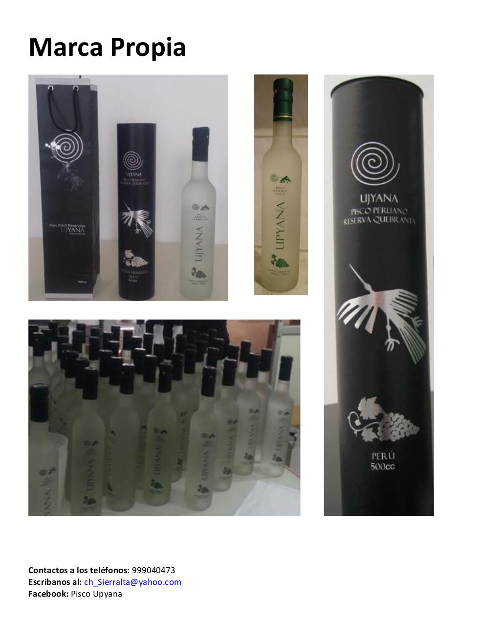 Vista previa del archivo PDF catalogo-piscosvr2.pdf