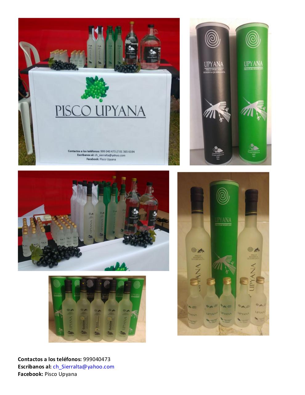 Vista previa del archivo PDF catalogo-piscosvr2.pdf