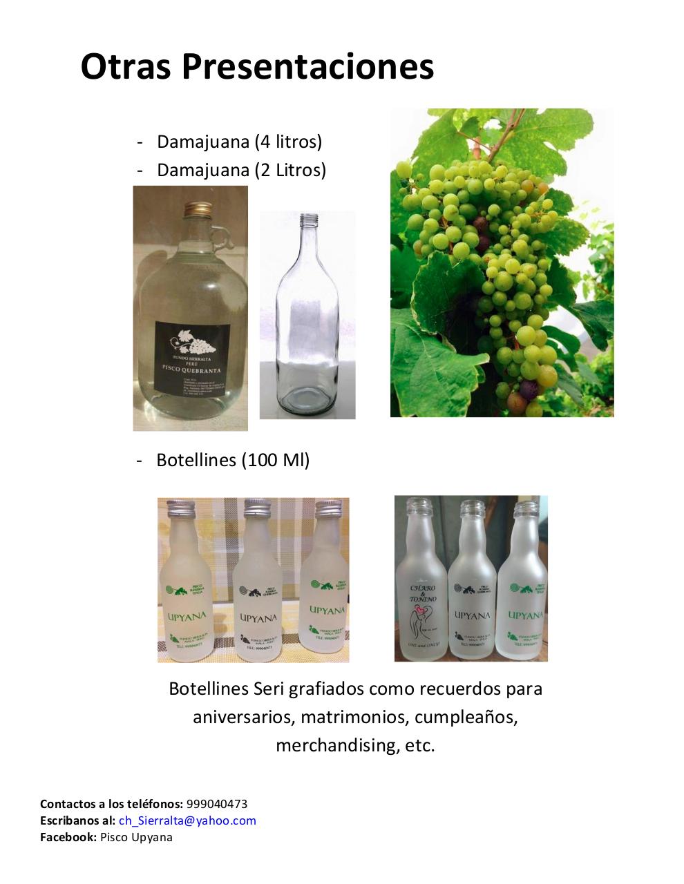 Vista previa del archivo PDF catalogo-piscosvr2.pdf