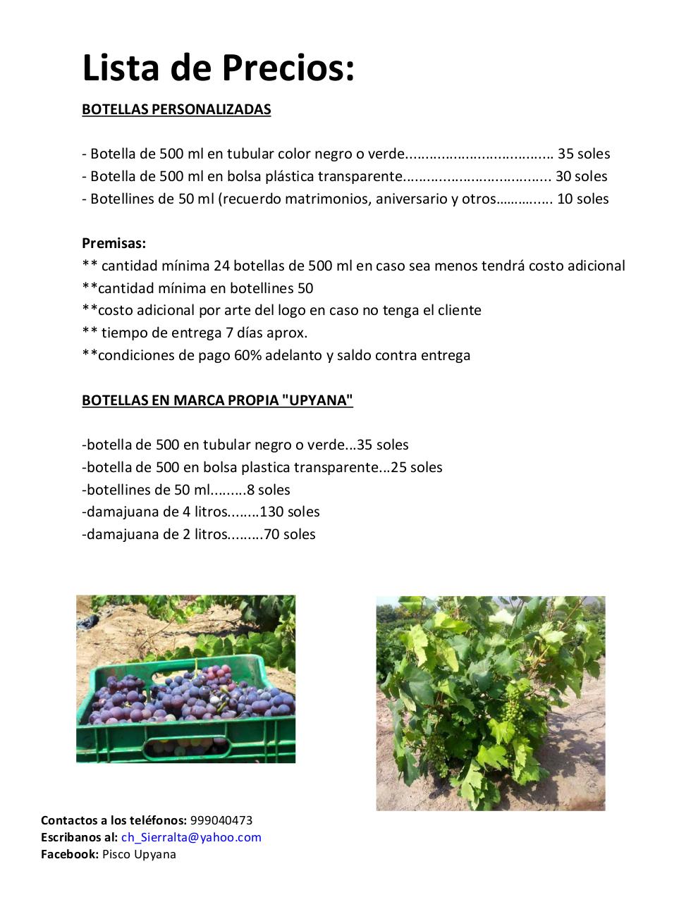 Vista previa del archivo PDF catalogo-piscosvr2.pdf