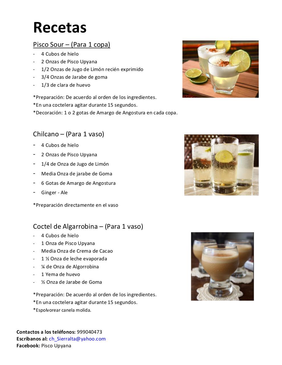 Vista previa del archivo PDF catalogo-piscosvr2.pdf